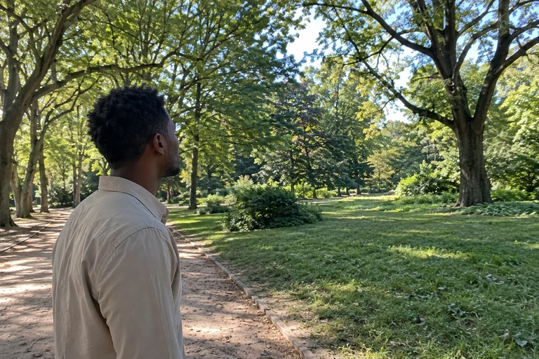 Une personne observe les arbres depuis une allée de parc