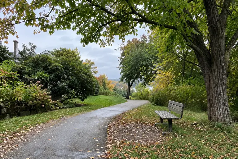Un chemin de quartier éclairé par la lumière diffuse du matin, avec un banc et des arbres, sans soleil regardé directement
