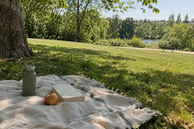 Une couverture de pique-nique avec un livre, une gourde et une pomme dans un parc, entourée d’herbe libre